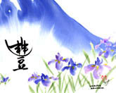 thumbnail of your picture 7
